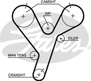5446 XS Gates Ремень ГРМ