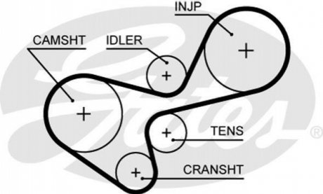 5639 XS Gates Ремень ГРМ