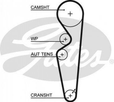 5431 XS Gates Ремень ГРМ