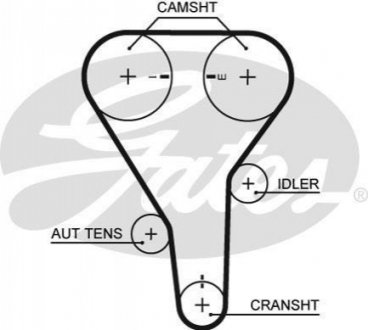 5356 XS Gates Ремень ГРМ