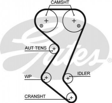 5608 XS Gates Ремень ГРМ