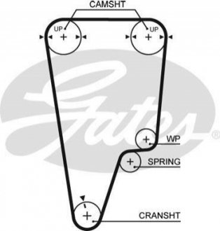 5505 XS Gates Ремень ГРМ