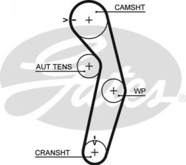 5445 XS Gates Ремінь ГРМ