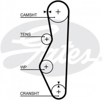 5521 XS Gates Ремень ГРМ