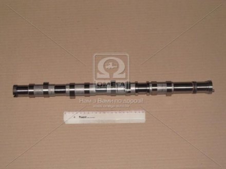 24200-4A200 Hyundai/Kia/Mobis Распредвал