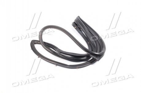 Ущільнювач двері Авео Т250 зад лів (суцільний) (96649136) GM 96649136