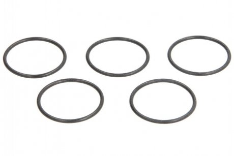 Элемент форсунки Common Rail ENT250131