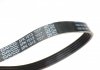 5PK1013HD DAYCO Ремень поликлиновой Dayco (фото 2)