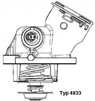 4833.100D WAHLER Термостат