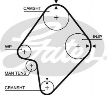 5300 XS Gates Ремінь ГРМ