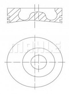 0160200 MAHLE / KNECHT Поршень