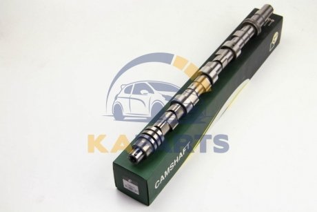 CS5311 BGA Розподільний вал Boxer/JUMPER 2.5D (DJ5)