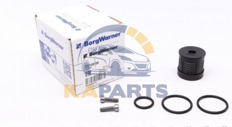 DS108190 BorgWarner Фільтр масляний