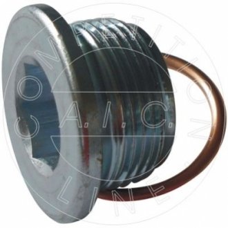 Болт зливу масла + шайба 56288