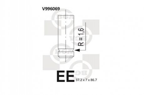 V996069 BGA Клапан двигателя