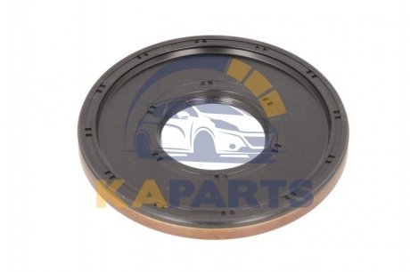 Сальник вала, роздавальна коробка 19034972B