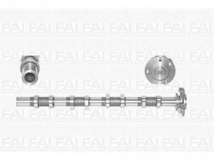 C251 FAI FAI FORD Распредвал TRANSIT 2.4 DI 00-06, TRANSIT 2.4 TDE 01-06