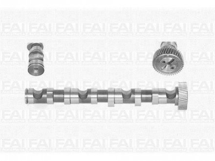 C246 FAI FAI VW Распредвал Audi A4/6/8,Passat,Skoda SuperB I 2.5TDI