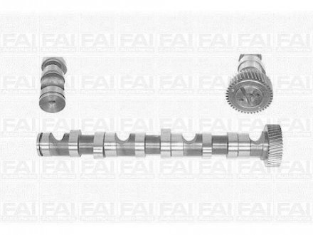 C247 FAI FAI VW Распредвал Audi A4/6/8,Passat,Skoda SuperB I 2.5TDI