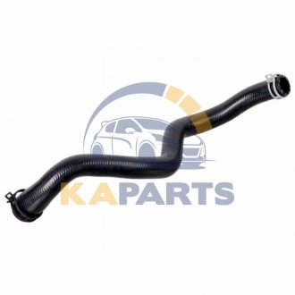 175571 FEBI BILSTEIN FEBI Шланг О.Ж. FORD 1.8TDCI 10-