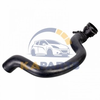 175566 FEBI BILSTEIN FEBI Шланг О.Ж. VW 1.9 TDI