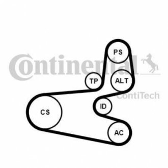 6PK1560K1 Contitech Комплект (ремінь+ролики)