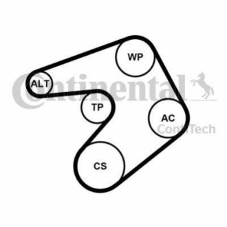 6PK1205K1 Contitech Комплект (ремінь+ролики)