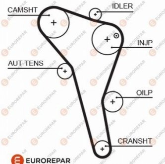 1633129180 Eurorepar РЕМІНЬ ГРМ