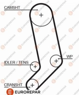 1633133880 Eurorepar Ремень ГРМ