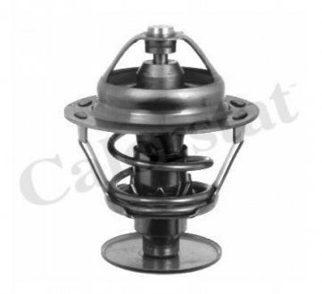 TH1542.89J Vernet VERNET CITROEN Термостат AX,P.106,305,1.4,1.5D 89