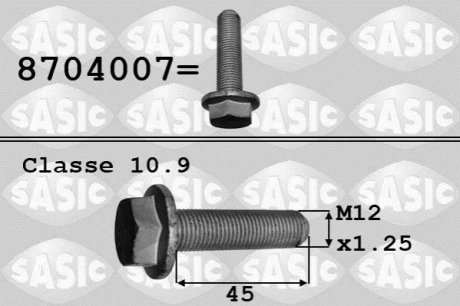 8704007 SASIC Болт коленвала R 1.9DCI 01- LAG