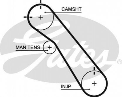 5548 XS Gates Ремень ГРМ