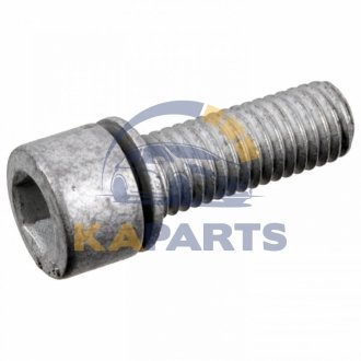Болт муфты Haldex(из внутрішнім шестигранним шліцем) 177755