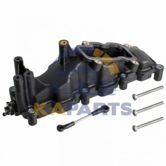 Впускний колектор AUDI A4 B7, A6 ALLROAD C6, A6 C6, A8 D3, Q7 VW PHAETON, TOUAREG 2.7D/3.0D 08.03-03.16 176519
