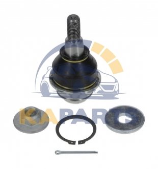 FDBJ14823 MOOG Шарова опора Лів/Прав (нижн передн) (діаметр конуса 26,1mm) FORD RANGER MAZDA BT-50 II 2.0D-3.2D 04.11-