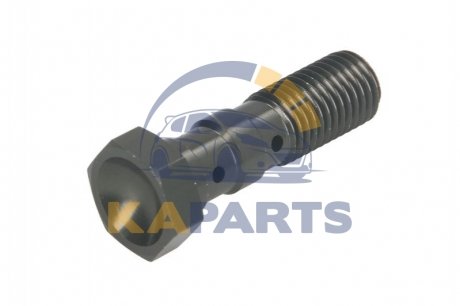 Болт гальмового шланга M10x1,25, колір: титан (на 2 шланга) MCH951T